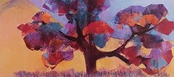 Tree Study - Northern Cape | 2022 | Oil on Canvas | 36 x 51 cm